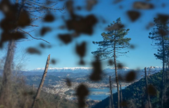 retinopatia_diabetica_sintomi