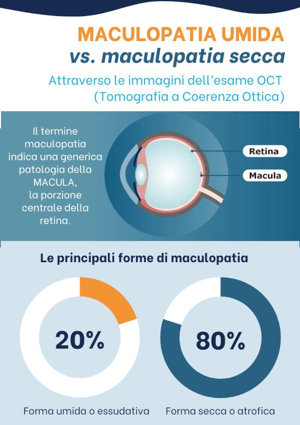 infografica_OCT-600