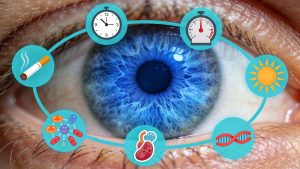 Immagine_interna_16_9__fattori_di_rischio_delle_maculopatie_illustrati_intorno_allocchio